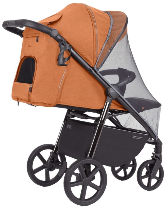 Tango Orange 3.jpg