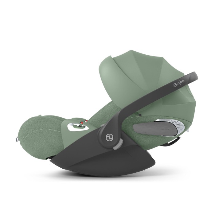 Leaf Green 4.jpeg