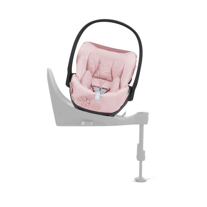 Pale Blush 5.jpeg