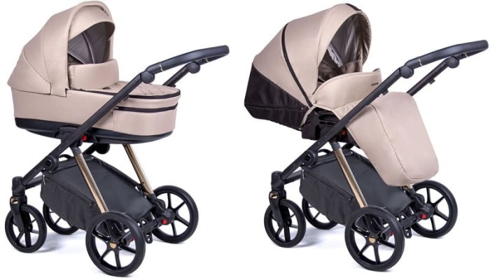 COLETTO  AXISS 2w1 | AX-04 złoty stelaż