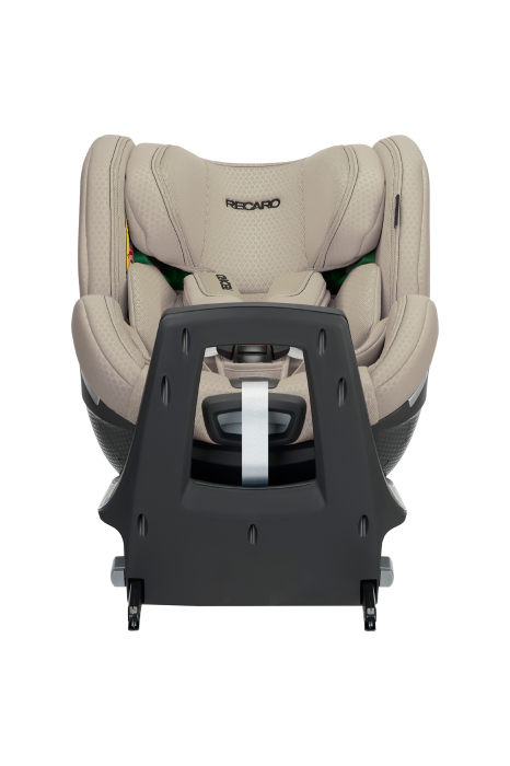 Elegant Beige (4).png