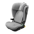 thule-palm-grey