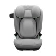 thule-palm-grey-1