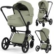 cybex-priam-5-2w1-sage-green-matt-black.jpg