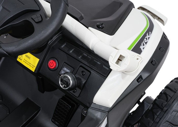 Pojazd Buggy Kawasaki TERYX KRX1000 Szary-13 6801 