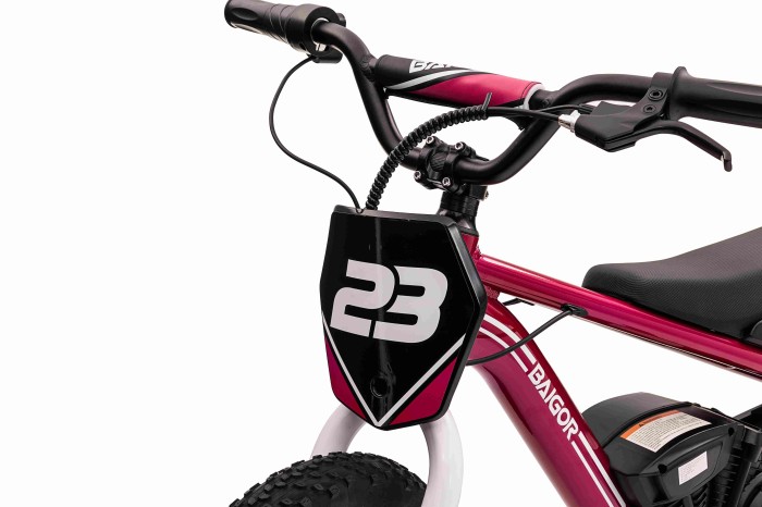 Motor BAIGOR 23 PRO Różowy na akumulator dla dziecka-9 7344 