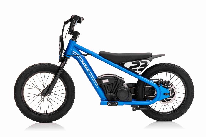 Motor BAIGOR 23 PRO Niebieski-2 7348 