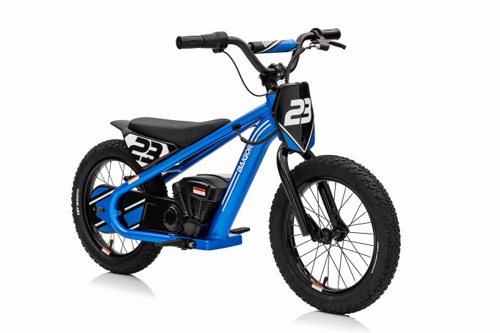 Motor BAIGOR 23 PRO Niebieski-7 7348 