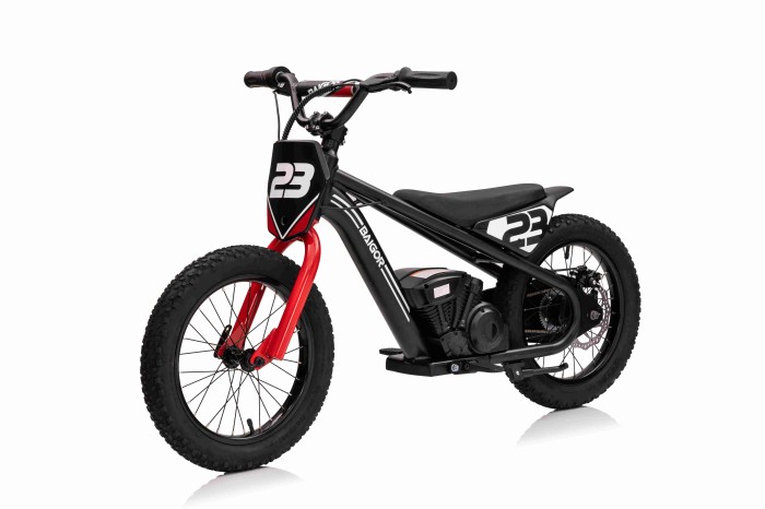 Motor BAIGOR 23 PRO Czarny-2 7351 