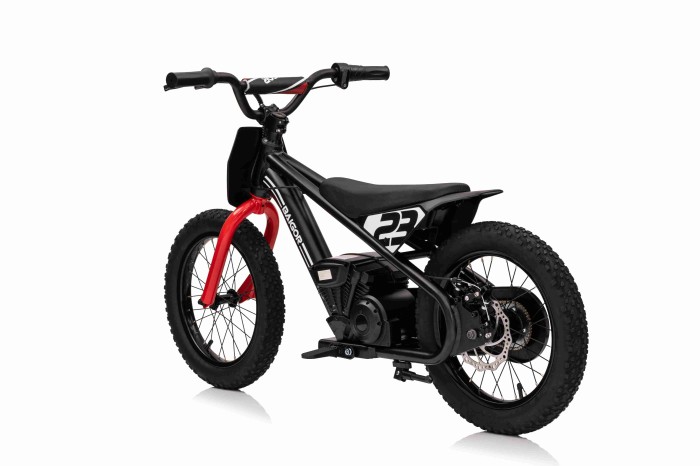 Motor BAIGOR 23 PRO Czarny-4 7351 