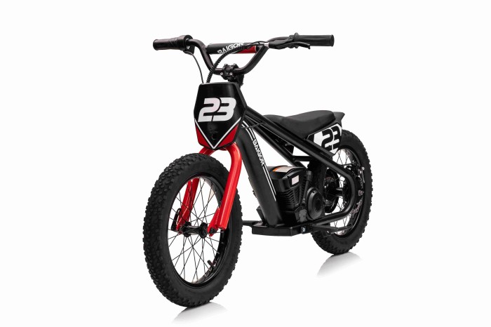 Motor BAIGOR 23 PRO Czarny-16 7351 