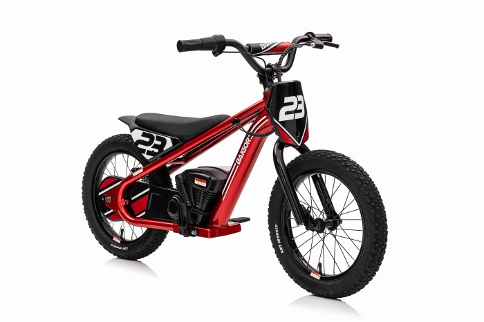 Motor BAIGOR 23 PRO Czerwony-7 7354 