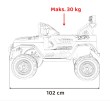 Pojazd Off-Road CLIMBER Różowy-18 7360 