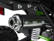 Pojazd Quad Spalinowy RENEGADE HIPERFECT 49CC Zielony-10 7556 
