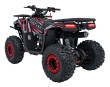 Pojazd Quad Spalinowy 125CC DISCOVERER Czerwony-7 7569 