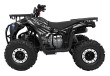 Pojazd Quad Spalinowy 125CC DISCOVERER Czarny-23 7570 