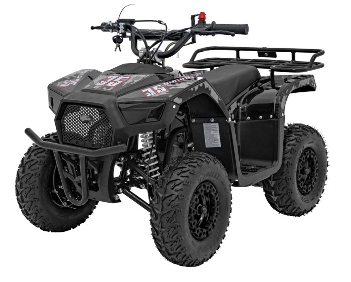 Pojazd Quad Spalinowy 49CC SIRIUS Czarny-3 7578 