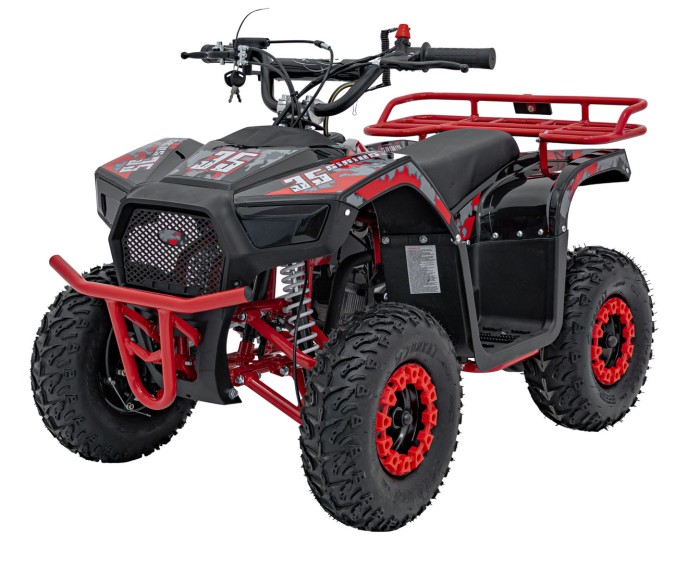 Pojazd Quad Spalinowy 49CC SIRIUS Czerwony-3 7581 