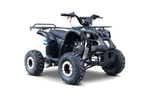 Pojazd Quad Spalinowy WILDPEAK 110cc Czarny