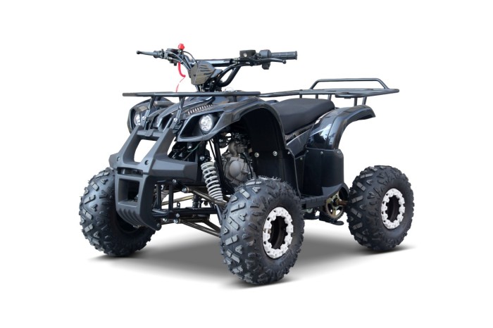 Pojazd Quad Spalinowy WILDPEAK 110cc Czarny-4 7589 