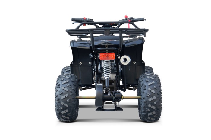 Pojazd Quad Spalinowy WILDPEAK 110cc Czarny-6 7589 