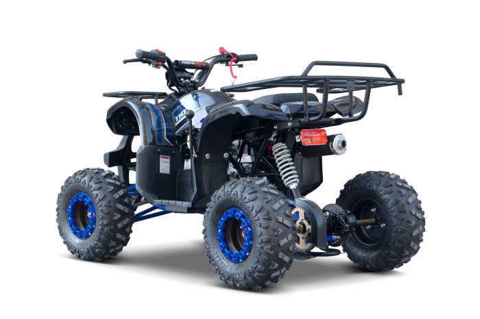 Pojazd Quad Spalinowy WILDPEAK 110cc Niebieski-5 7591 
