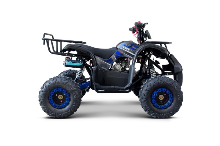 Pojazd Quad Spalinowy WILDPEAK 110cc Niebieski-7 7591 