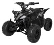 Pojazd Quad DESERT STORM LIFT Czarny-3 7728 