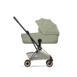 CYB_26_EU_y270_Coya_FoldCot_ROGO_SAGR_Style_print_medium.jpg