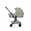 CYB_26_EU_y270_Coya_FoldCot_MABL_SAGR_Style_print_medium.jpg