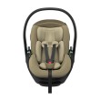 Small-Thule_Maple_FadedKhaki_Front_CanopyMin_14000038.jpg