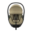 Thule Maple Connect kolor Faded Khaki widok na fotelik od frontu