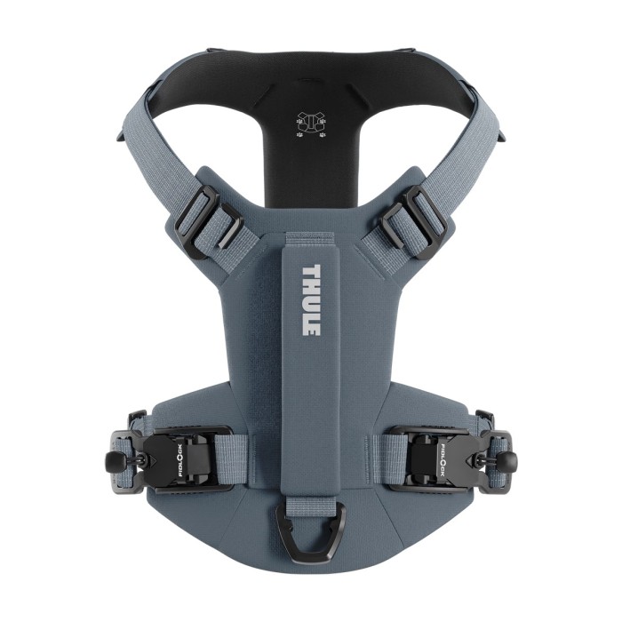 Thule Dart XL szelki dla psa Dark Slate - widok od góry